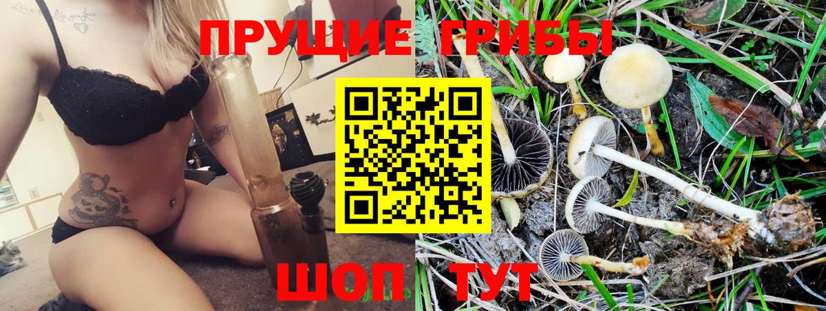 Псилоцибиновые грибы Psilocybine cubensis  как найти закладки  Сердобск  Вход с VPN 